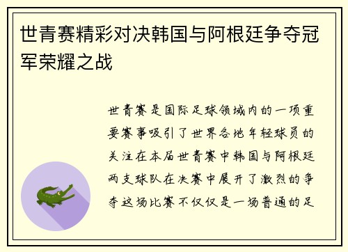 世青赛精彩对决韩国与阿根廷争夺冠军荣耀之战